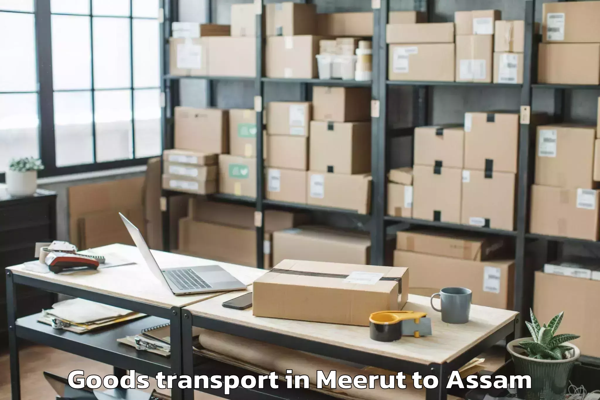 Hassle-Free Meerut to Tinsukia Goods Transport